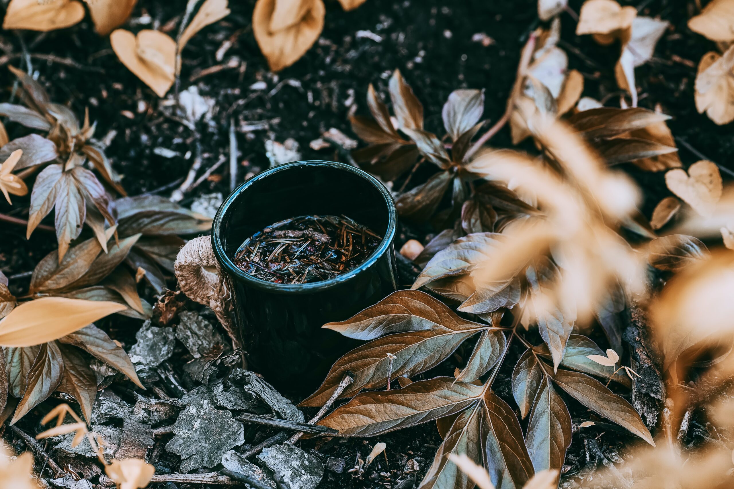 tengyart-uBfx5g8qIfM-unsplash